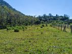 Land for Sale in Horana - Rathmalgama.