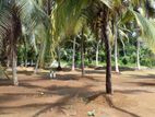 Land for Sale in Horana with 10p block