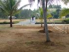 Land for Sale in Horana with 11.55p block