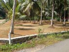 Land for Sale in Horana with 11.55p