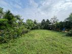Land for Sale in Horana(10 P)