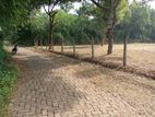 Land for Sale in Hungama