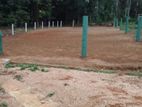 Land for Sale in Ibbagamuwa 16P