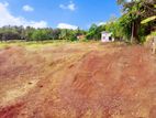 Land for sale in Ibbagamuwa - C740