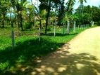 Land for Sale in Ibbagamuwa