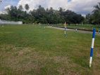 Land for Sale in Ibbagamuwa