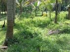 Land for Sale in Ibbagamuwa