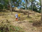 Land for Sale in Ibbagamuwa