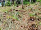 Land for Sale in Ibbagamuwa