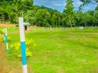 Land For Sale In Ibbagamuwa- M333