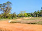 Land for Sale in Ibbagamuwa, Maeliya