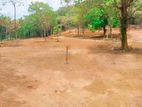 Land for sale in Ibbagamuwa - S16