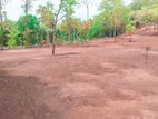 Land for sale in Ibbagamuwa - S47