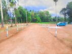 Land for sale in Ibbagamuwa - S90