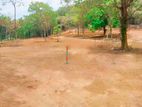 Land For Sale in Ibbagamuwa, T39