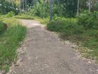 Land for Sale in Ibulgasdeniya Polgahawela