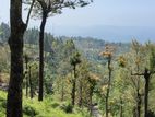 land for sale in idalgashinna