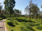 Land for Sale in ඉදල්ගස්හින්න