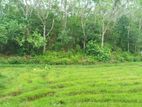 Land for Sale in Ihala Welgama, Bulathsinhala