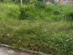 Land for sale in Ilappugedara 8.5P