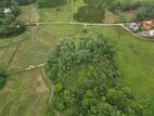 Land for Sale in Imaduwa