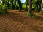 Land for sale in imbulgoda / CH 13953