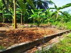 Land for sale in imbulgoda