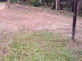 Land for Sale in Imbulgoda, Gampaha