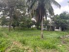 Land for Sale in Imbulgoda, Kirillawala (Waliweriya Road)