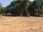 Land for Sale in Induruwa Suburbs –code Ad 398