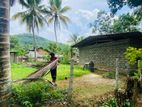 Land for Sale in Ingiriya (10m to Main Rd)