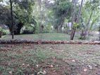 Land for Sale in Ingiriya