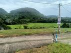 Land for Sale in Ingiriya