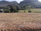 Land for sale in ingiriya