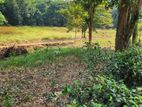 Land for Sale in Ingiriya