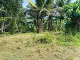 Land for Sale in Ingiriya, Hadapangoda