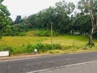 Land For Sale In Ingiriya, Horana