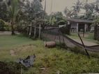 Land for Sale in Ja Ela (17.5 Perches)