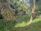 Land for Sale in Ja Ela Araliya Garden