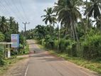 Land For Sale in Ja-Ela BOLLATHA