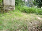 Land for Sale in Ja Ela