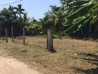 Land for Sale in Ja Ela