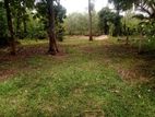 Land for Sale in Ja-Ela