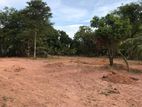 Land for Sale in Ja Ela