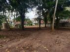 Land for Sale in Ja Ela