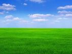 Land for sale in ja-ela