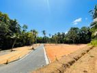 Land for Sale in Ja Ela
