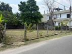 Land for sale in ja ela
