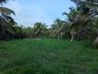 Land For Sale In Ja-ela