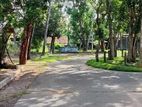 Land for Sale in Ja-Ela